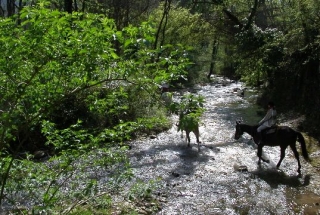  Herrliches Trekking